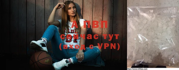 шишки Богданович