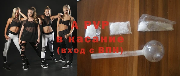 spice Богородск