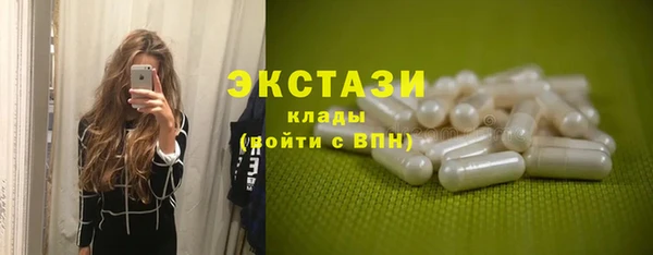 spice Богородск