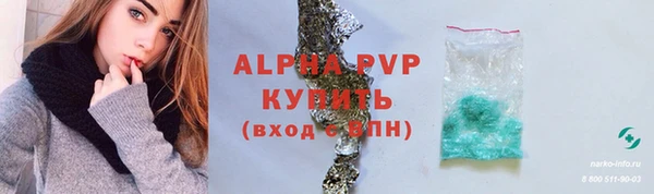 spice Богородск