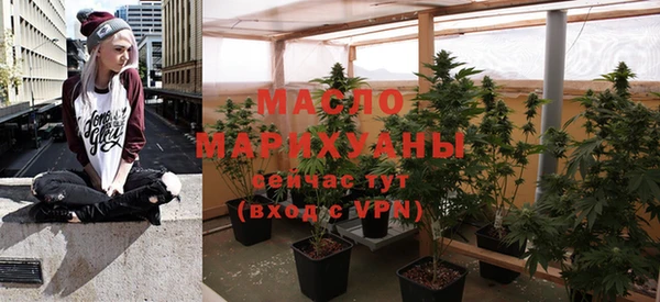 spice Богородск