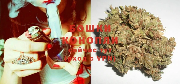 spice Богородск