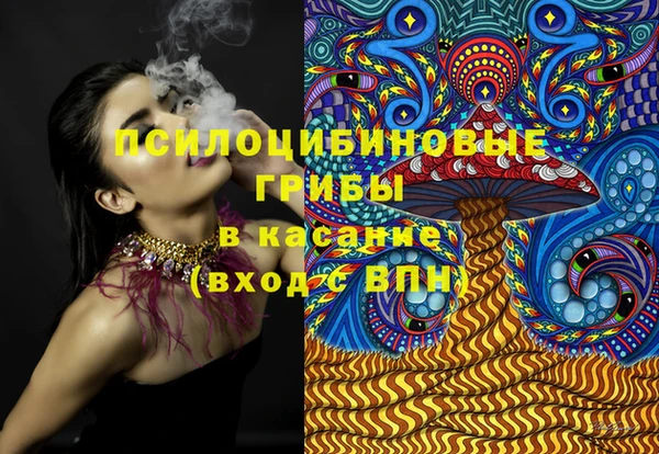 шишки Богданович