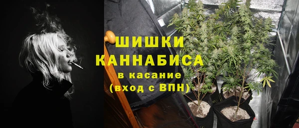 spice Богородск