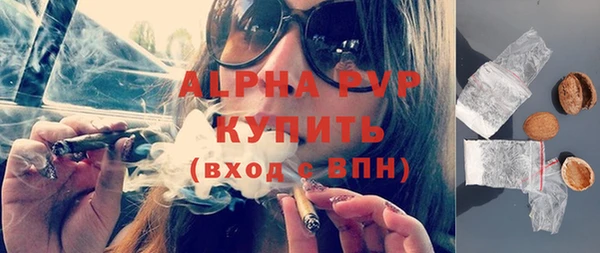 spice Богородск