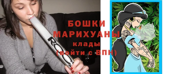 шишки Богданович