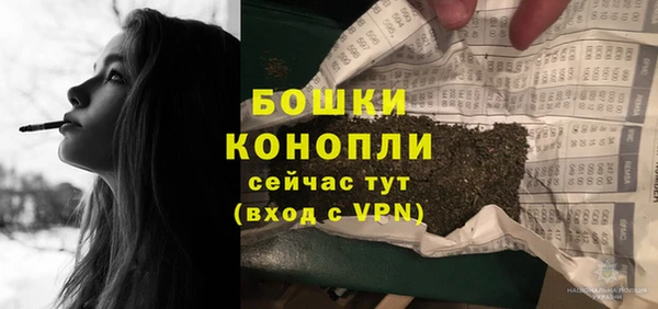 шишки Богданович
