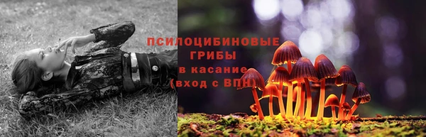 МДПВ Богородицк