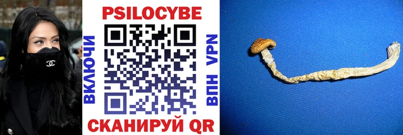 Псилоцибиновые грибы MAGIC MUSHROOMS  Северская 