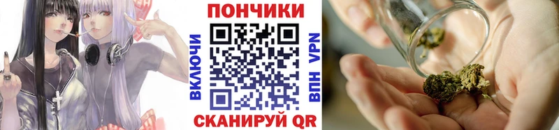 Канабис сатива  Северская 